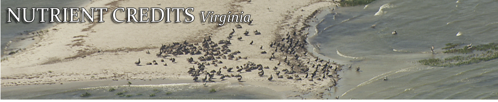 James River Photo